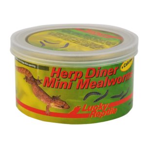 67333-Herp-Diner-Mini-Mealworms
