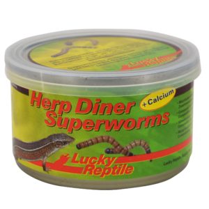 LUCKY REPTILE HERP DINER SUPERWORMS 35GR HDC-34