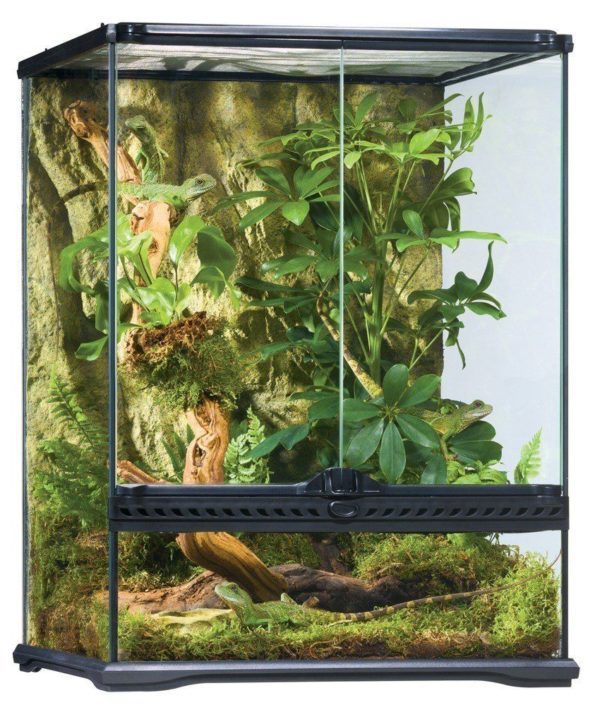 Exo Terra Glass Terrarium 45 x 45 x 60cm PT2607