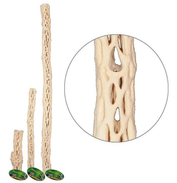 Cactus Wood Medium