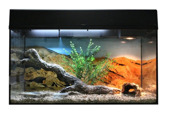 Lucky Reptile Starter Kit 80cm Bearded Dragon - Imagen 2