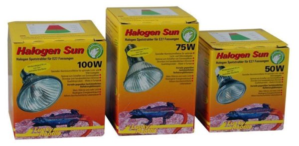 Halogen Sun 75w