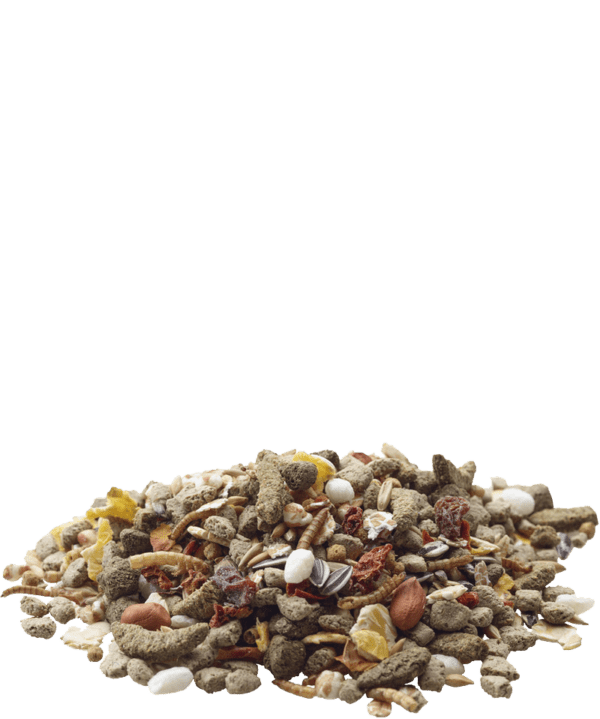 VERSELE LAGA RAT NATURE 700gr - Imagen 2