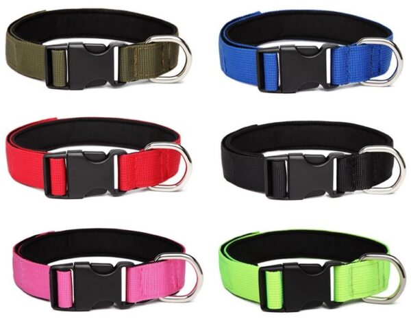 COLLAR NYLON ACOLCHADO TALLA S:2.5*30-36 CL-D02 S