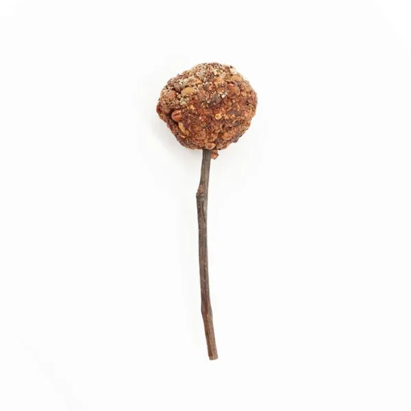 Woodchuck Lolly arándano, pera y espino blanco 25gr