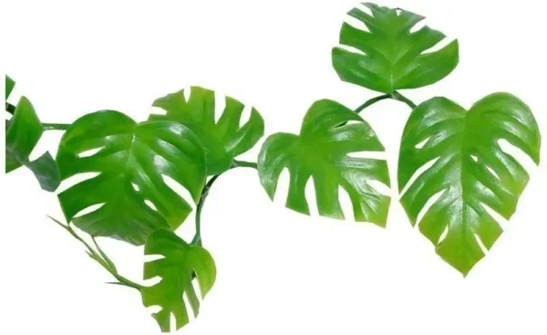 Lucky Reptile Planta Liana Philo Vine 200 cm LP-71
