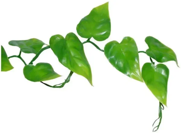 Lucky Reptile Planta Liana Photos Vine 200 cm LP-70