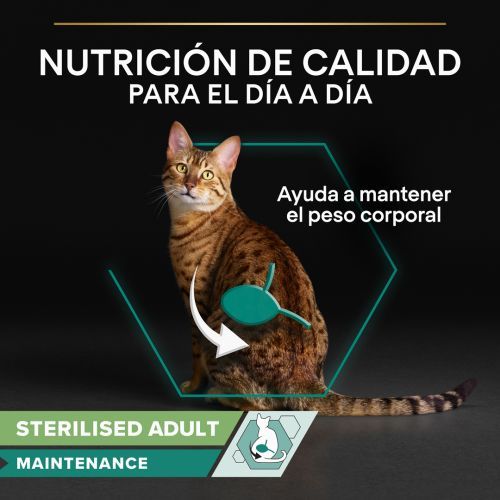 PURINA® PRO PLAN® Gato Adulto Sobre ESTERILIZADO Maintenance con Buey en salsa 85g - Imagen 2