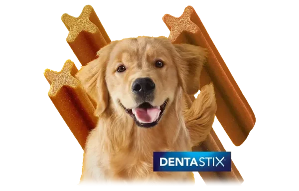 Dentastix Snack Dental Perros Medianos 10-25 kg 180gr 7 sticks - Imagen 2