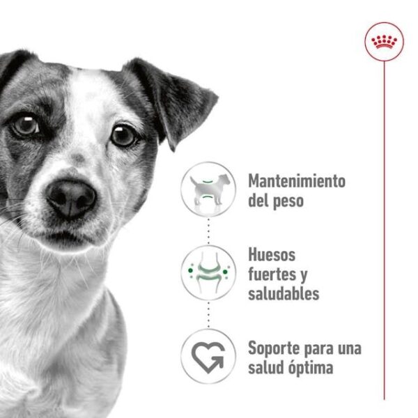 ROYAL CANIN Mini Adult 2 kg - Imagen 4