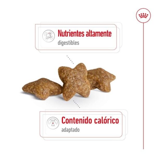 ROYAL CANIN Mini Adult 2 kg - Imagen 5