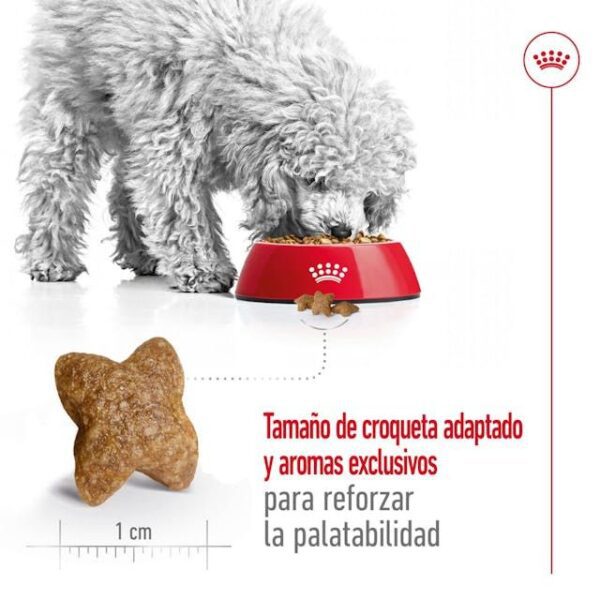 ROYAL CANIN Mini Adult 2 kg - Imagen 6