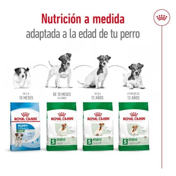 ROYAL CANIN Mini Adult 2 kg - Imagen 7