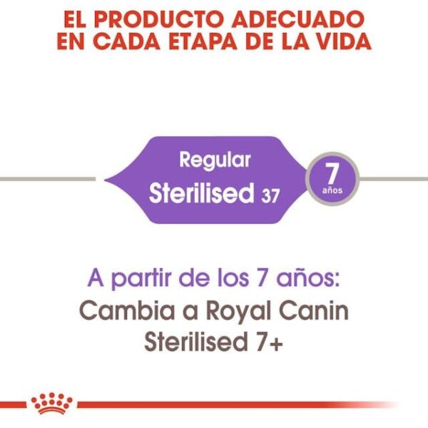 ROYAL CANIN Sterilised 37 4 kg - Imagen 4