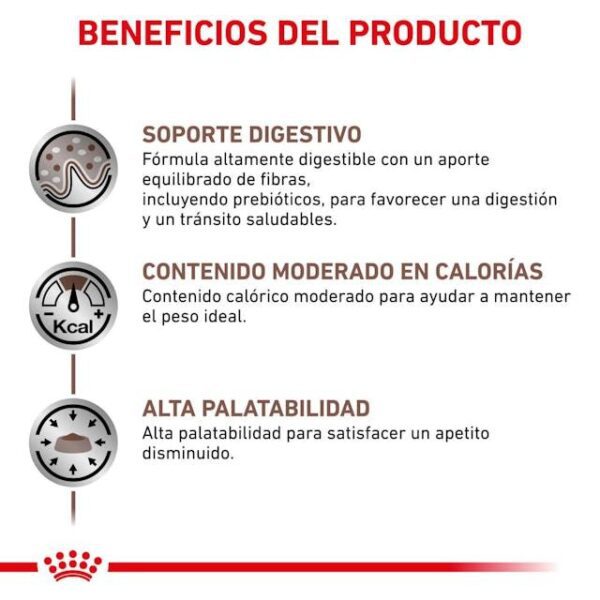 ROYAL CANIN Gastro Intestinal Moderate Calorie  15 kg - Imagen 2