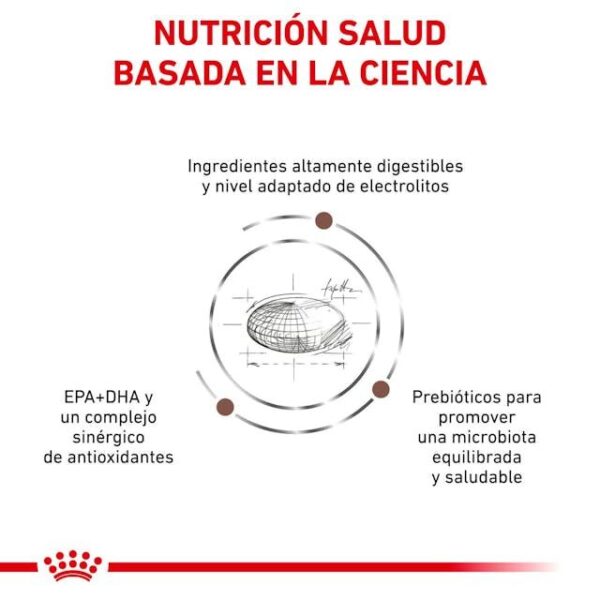 ROYAL CANIN Gastro Intestinal Moderate Calorie  15 kg - Imagen 4