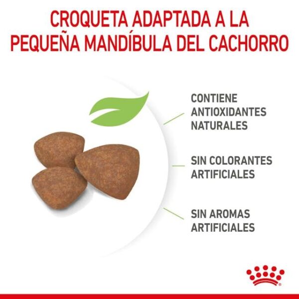 ROYAL CANIN Mini Puppy 4 kg - Imagen 4