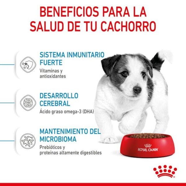 ROYAL CANIN Mini Puppy 4 kg - Imagen 5