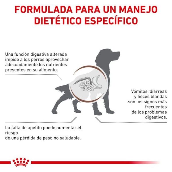 ROYAL CANIN Gastro Intestinal 2 kg Perro - Imagen 4