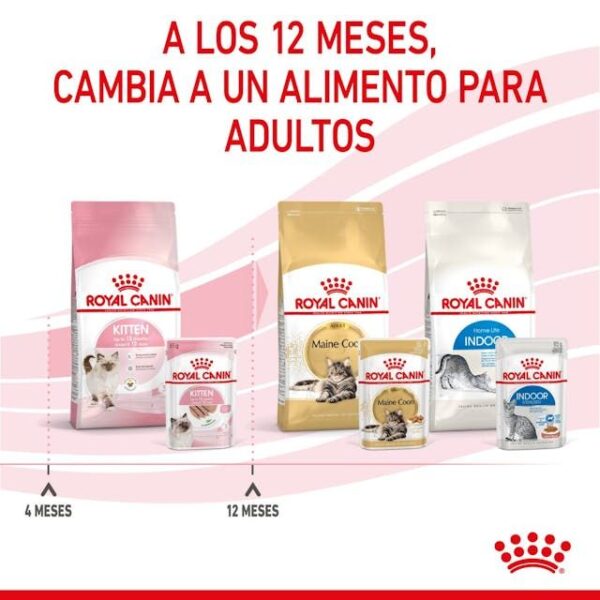 ROYAL CANIN Kitten (paté)  85 gr - Imagen 4