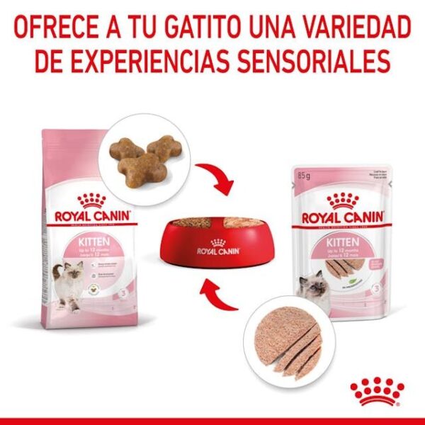 ROYAL CANIN Kitten (paté)  85 gr - Imagen 7