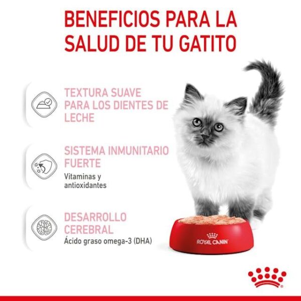 ROYAL CANIN Kitten (paté)  85 gr - Imagen 8