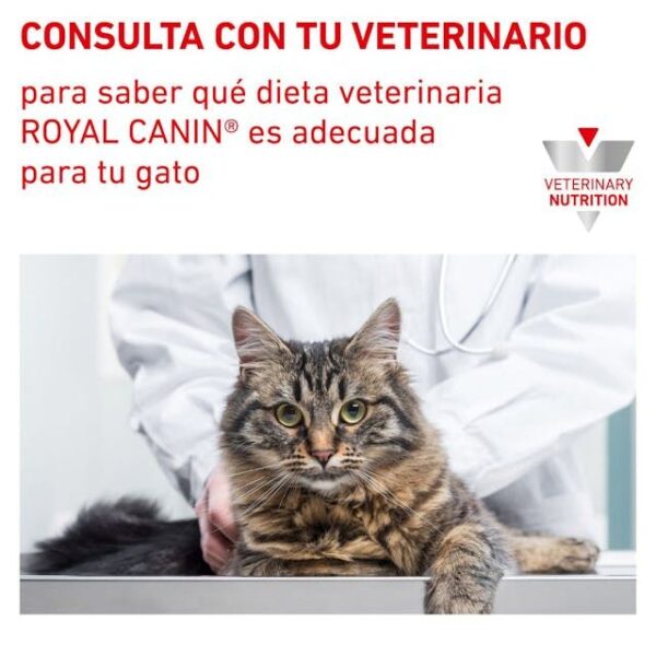 ROYAL CANIN Urinary S/O 0,4 kg - Imagen 2