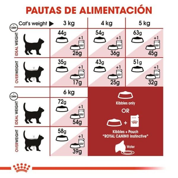 ROYAL CANIN Fit 32 2 kg - Imagen 7