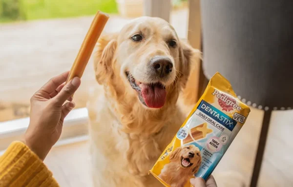 PEDIGREE DENTASTIX PERRO + 25KG 270gr 7 sticks - Imagen 2