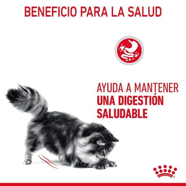 ROYAL CANIN Digest Sensitive (salsa)  85 gr - Imagen 2