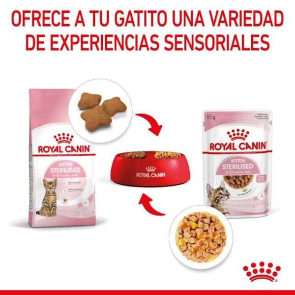 ROYAL CANIN Kitten Sterilised (gelatina)  85 gr - Imagen 2