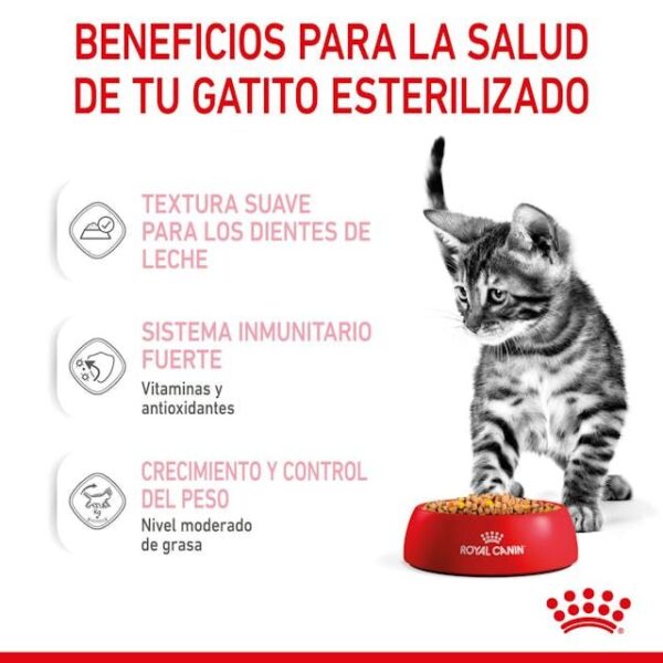 ROYAL CANIN Kitten Sterilised (gelatina)  85 gr - Imagen 8