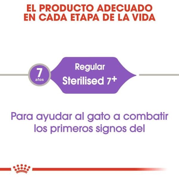 ROYAL CANIN Sterilised 7+ 3,5 kg - Imagen 3