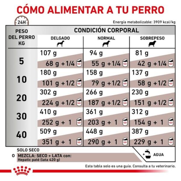 ROYAL CANIN Hepatic Dog  1,5 kg - Imagen 6