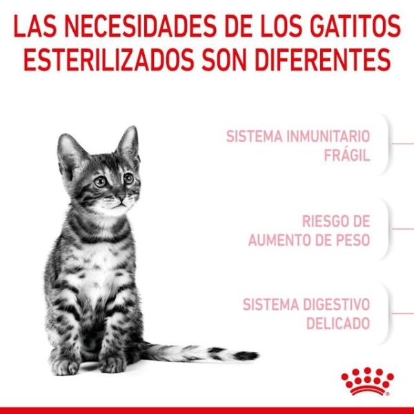 ROYAL CANIN Kitten Sterilised 0,4 kg - Imagen 2