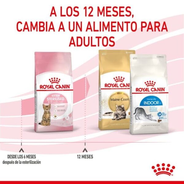 ROYAL CANIN Kitten Sterilised 0,4 kg - Imagen 5