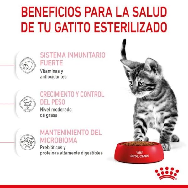 ROYAL CANIN Kitten Sterilised 0,4 kg - Imagen 7