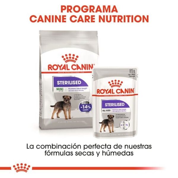 ROYAL CANIN Mini Sterilised 3 kg - Imagen 4