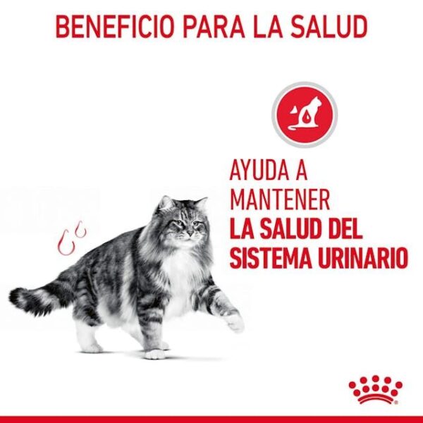 ROYAL CANIN Urinary Care 0,4 kg - Imagen 3