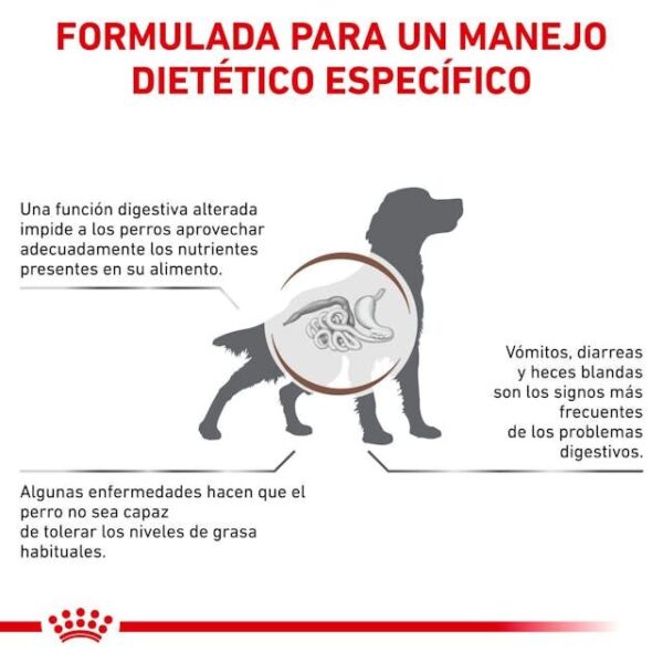 ROYAL CANIN Gastro Intestinal Low Fat  1,5 kg - Imagen 3