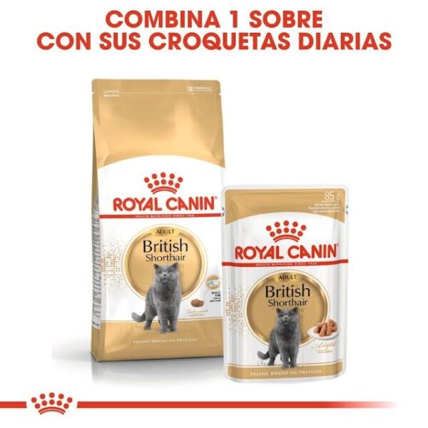 ROYAL CANIN British Shorthair 2 kg - Imagen 6