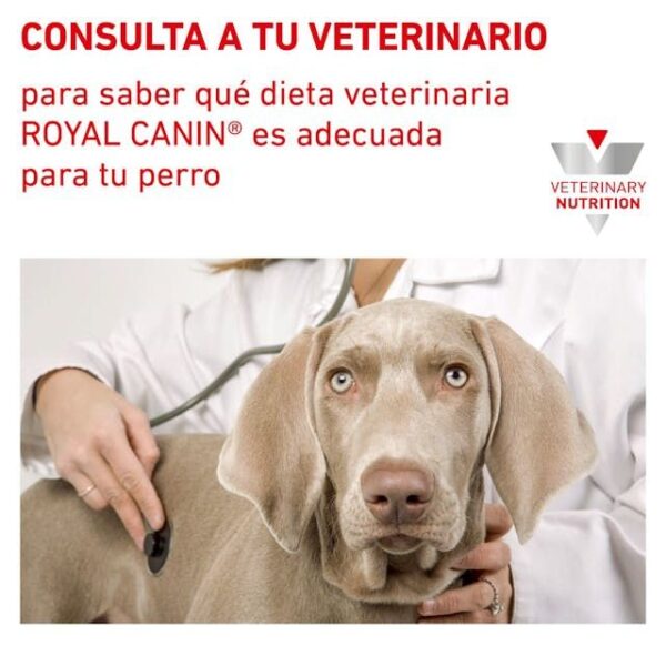 ROYAL CANIN Satiety Weight Management Dog 1,5 kg - Imagen 6