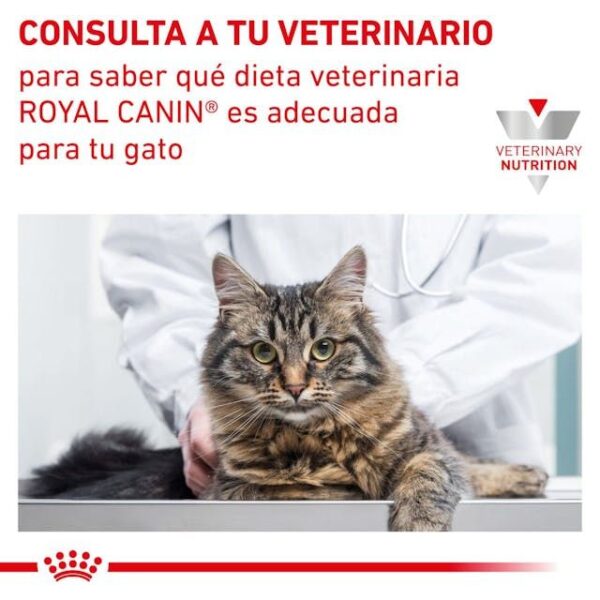ROYAL CANIN Neutered Satiety Balance Cat 1,5 kg - Imagen 6