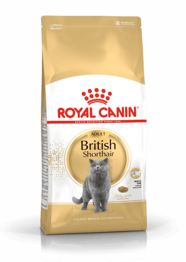 ROYAL CANIN British Shorthair 2 kg