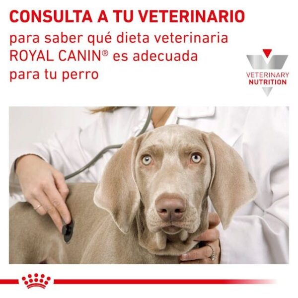 ROYAL CANIN Gastro Intestinal Puppy (mousse ultra suave)  195 gr - Imagen 2