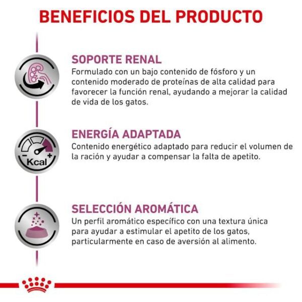 ROYAL CANIN Renal (paté)  85 gr - Imagen 2