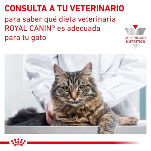 ROYAL CANIN Renal (paté)  85 gr - Imagen 6