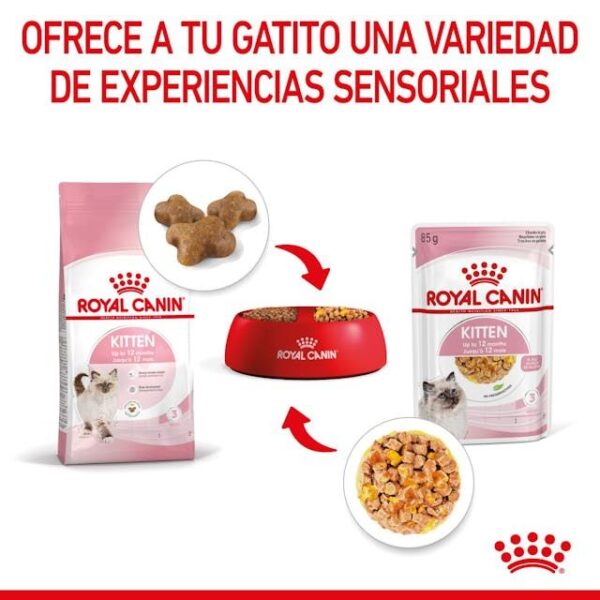 ROYAL CANIN Kitten (gelatina) 85 gr - Imagen 4