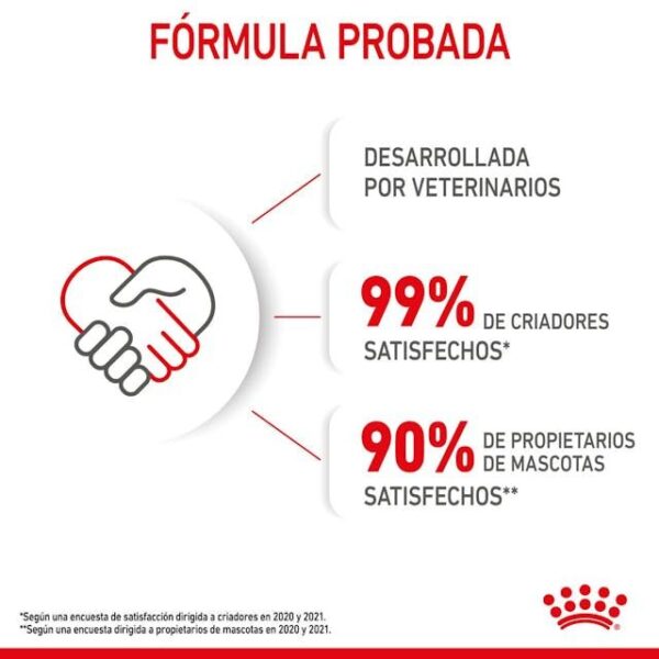 ROYAL CANIN Kitten (gelatina) 85 gr - Imagen 7