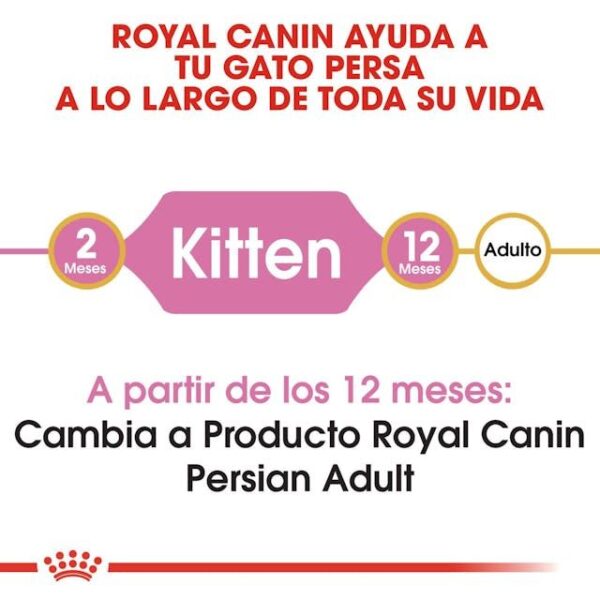 ROYAL CANIN Kitten Persian 0,4 kg - Imagen 5